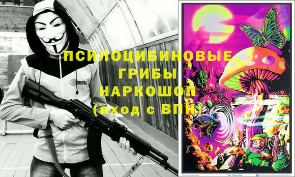 винт Алексеевка