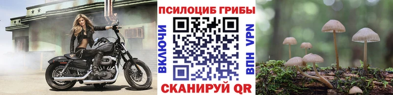 продажа наркотиков  Петровск-Забайкальский  Галлюциногенные грибы ЛСД 